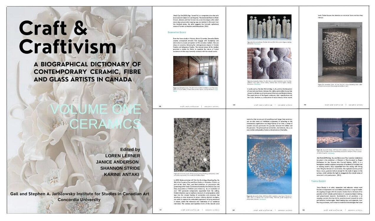 Craft and Craftivism Profile
